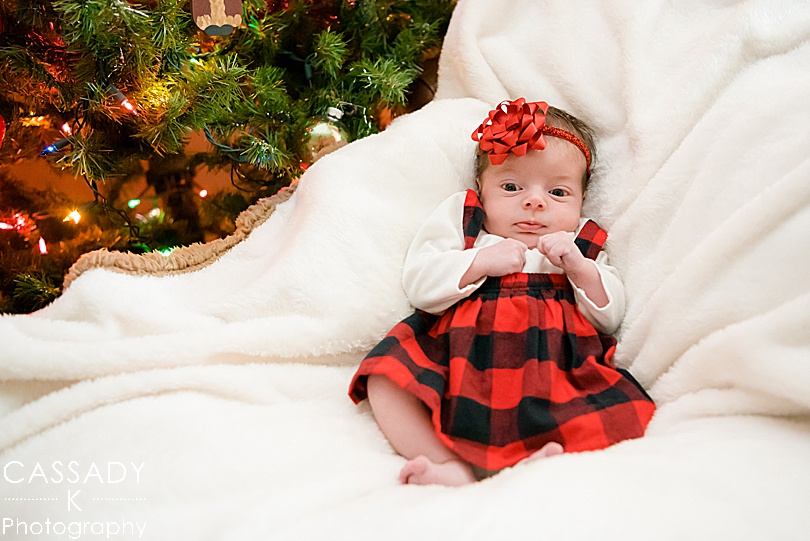 Baby girl in a red buffalo plaid dress under the Christmas tree at an at home Pittsburgh newborn session