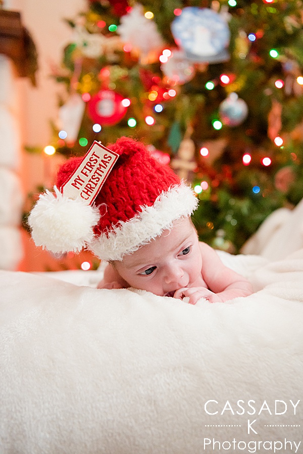 Baby wearing a Santa hat under the Christmas tree during an at home Pittsburgh newborn session