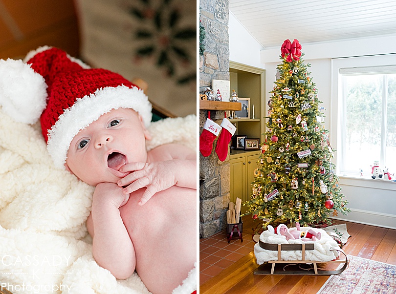 Newborn boy wearing a Santa hat in a sled under a Christmas tree in Westchester, NY for a 2020 photography review
