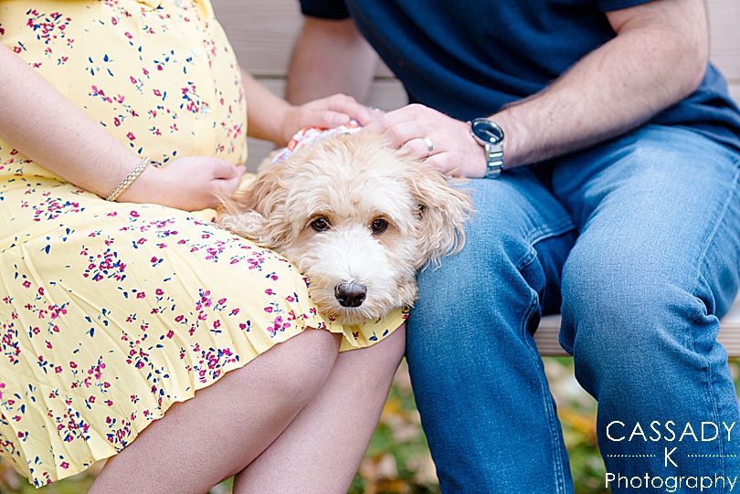 Outdoor at home fall maternity session with a labradoodle for a 2020 photography review
