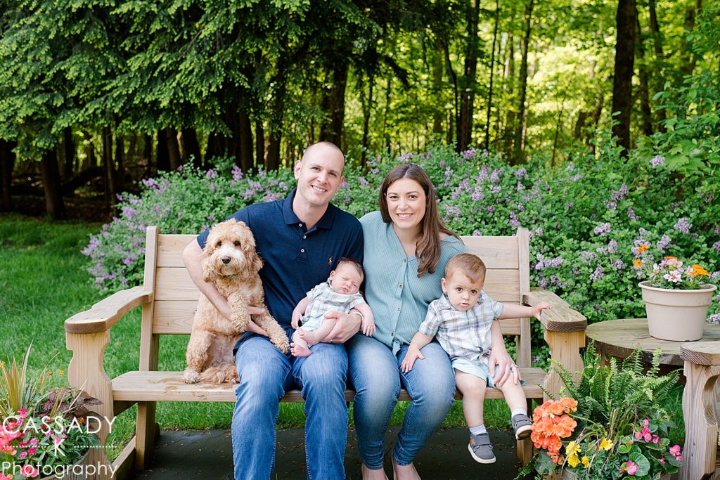 Family picture with dog outside on bench during Bedford home newborn pictures