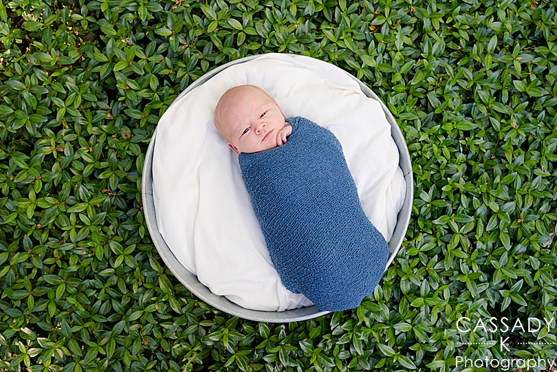 Baby boy in water basin in green myrtle for outside family newborn session