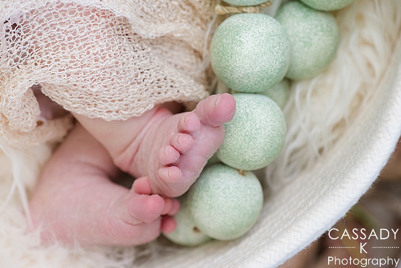 Color image of baby boy feet in outside family newborn session