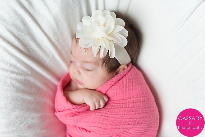 Baby Girl peacefully sleeping for a newborn session in Tarrytown, NY