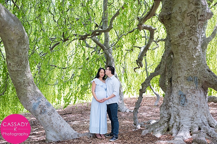 Pregnant couple under a weeping willow tree during a Rockwood Hall Maternity Session at Rockafeller Preserve State Park in Pleasantville, New York