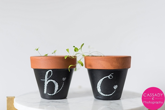 DIY Chalkboard Pots used as planters for Basil and Cilantro herbs