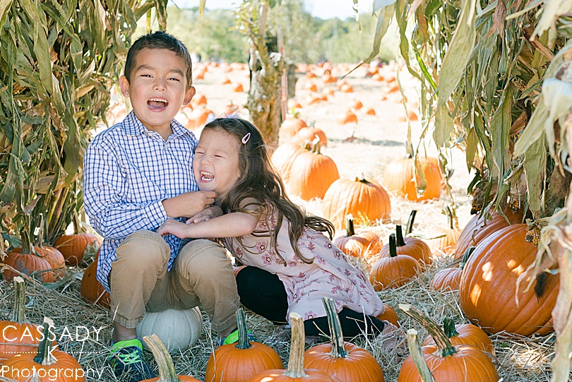 Tips for Family Photos from kids laughing while pumpkin picking during Fall activities in PA