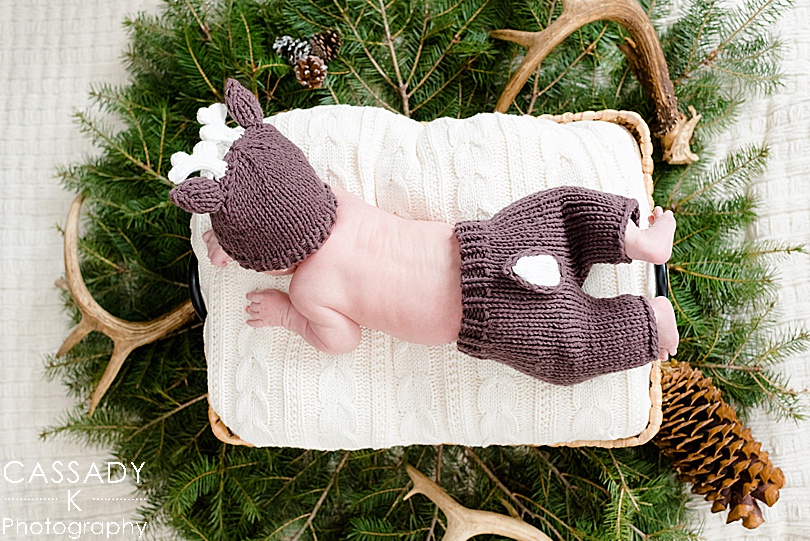 Baby in a newborn reindeer outfit laying in a basket, surrounded by greenery during an at home Bedford newborn session