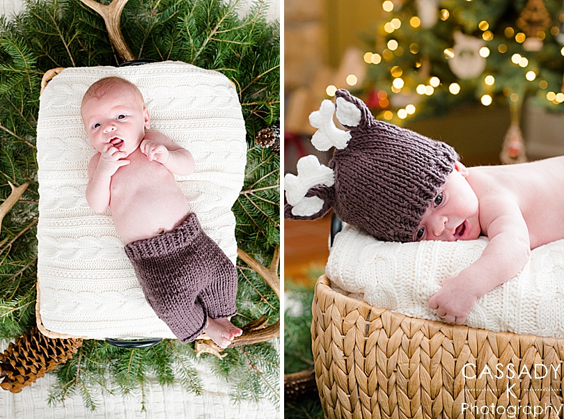 Baby in a newborn reindeer outfit, in a basket, in front of the Christmas tree during an at home Bedford newborn session