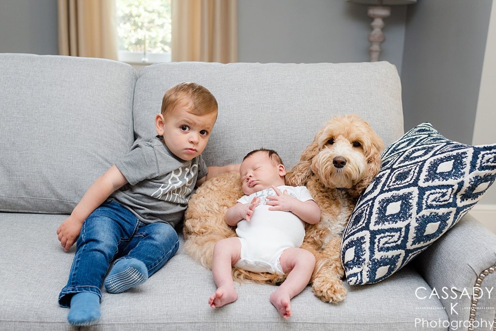Older and younger brother with dog on couch during Bedford newborn pictures