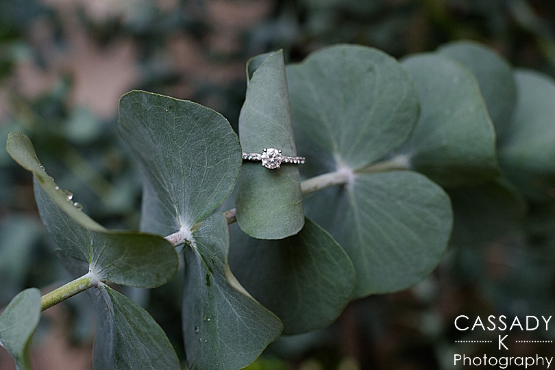 Engagement ring on eucalyptus at Longwood Gardens