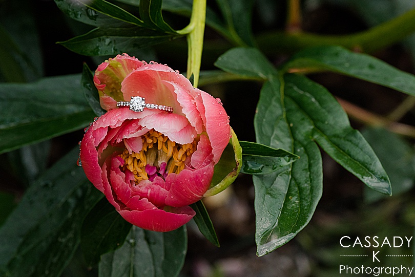 Engagement ring on pink Peony flower at Longwood Gardens Engagement Photos