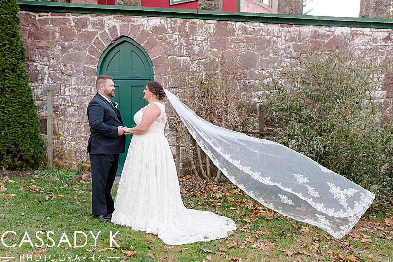 Cathedral length veil in front of stone wall at Mount Hope Estate Wedding