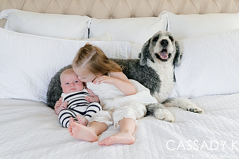 Big sister kisses baby brother on bed with their bernedoodle during a growing family lifestyle session in Pittsburgh