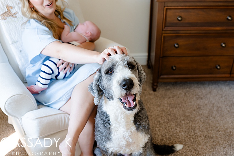 Dog smiling and female scratching head with newborn baby in background