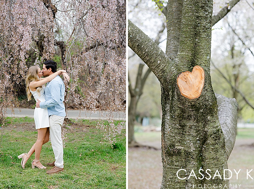 A heart found in nature when a branch was removed from a Cherry Blossom tree in Fairmount Park, Philadelphia, PA