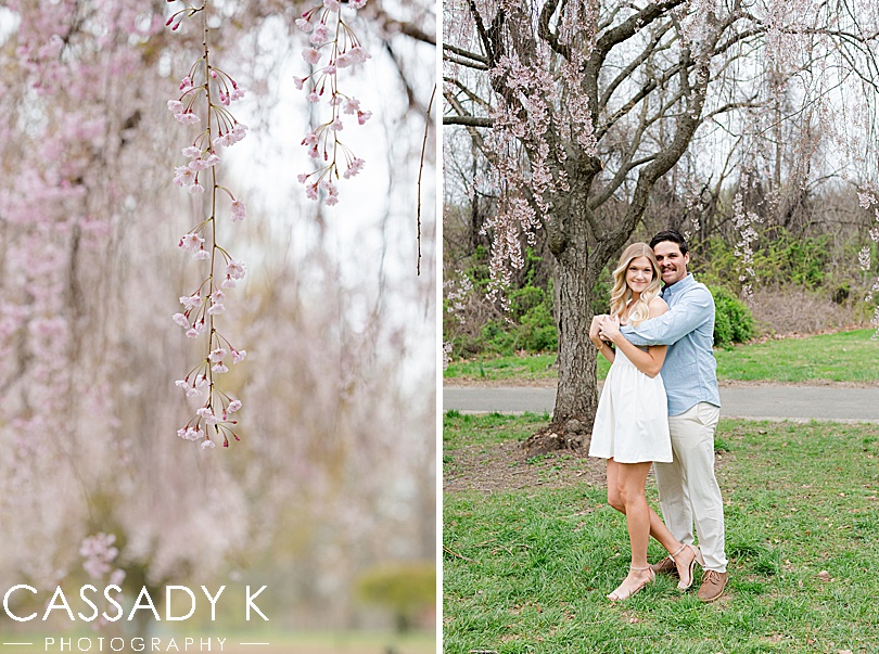 The Fairmount Park Cherry Blossoms  were planted as a long-standing friendship between the U.S. and Japan.