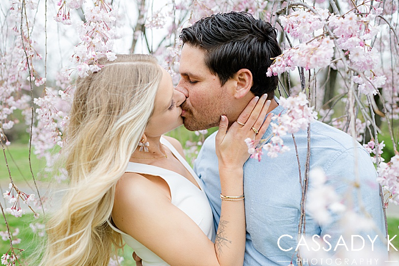 Couple kisses in the pink Cherry Blossom  in Fairmount Park, Philadelphia